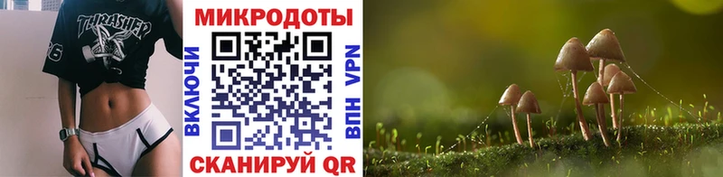 Галлюциногенные грибы Cubensis  Белорецк 